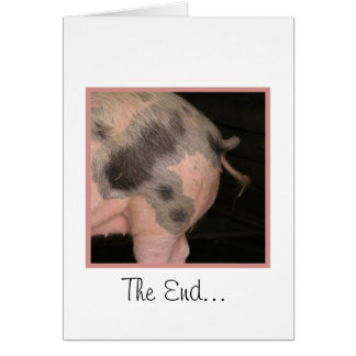 Curly Piggy Tail Cards