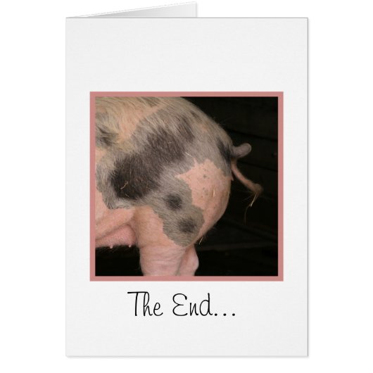 Curly Piggy Tail Cards (Front)