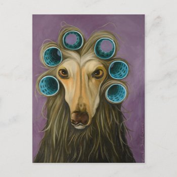 Curly Postcard by paintingmaniac at Zazzle