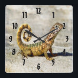 Curly Tailed Lizard Square Wall Clock<br><div class="desc">An adorable little curly tailed lizard on a wonderful clock.</div>