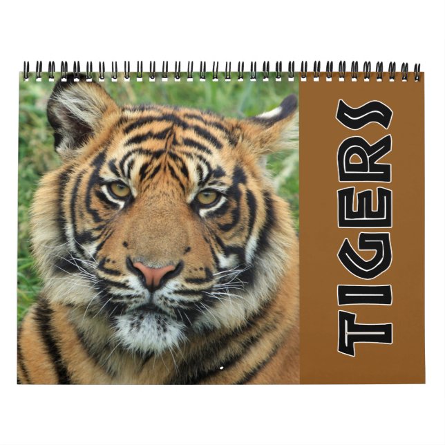 Current Wild Tiger Calendar (Cover)