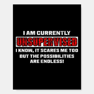 Currently Unsupervised Funny Sarcastic Quote Gift Foam Board