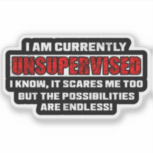 Currently Unsupervised Funny Sarcastic Quote Gift Sticker