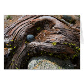 Currents Card (Front Horizontal)