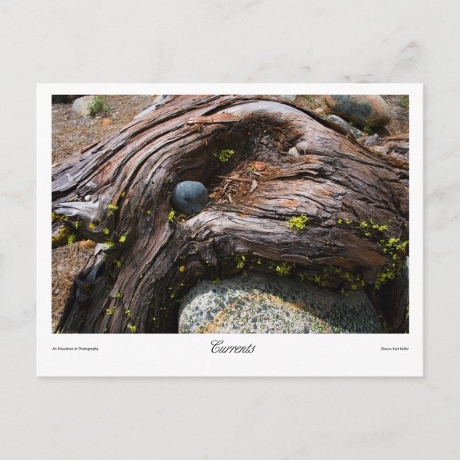 Currents Prints Postcard (Front)