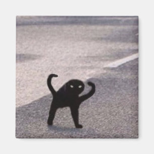 Cursed cat meme magnet