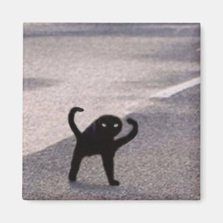 Cursed cat meme magnet
