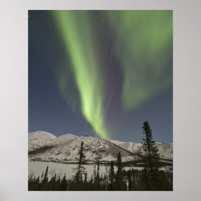 Curtains of aurora borealis dance across the sky poster (Front)