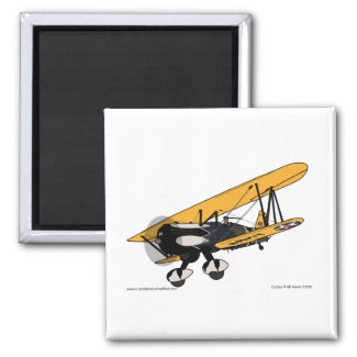 Curtis P-6E Hawk (1929) 2 Inch Square Magnet