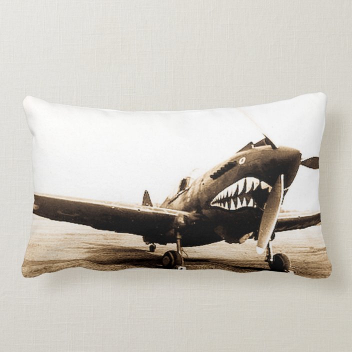 lumbar pillow for plane