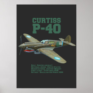 Curtiss P-40 Warhawk WW2 Plane Poster