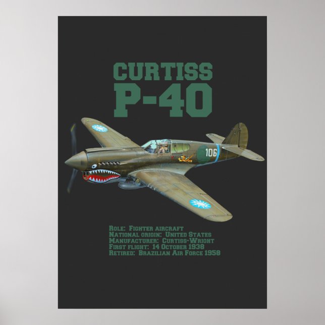 Curtiss P-40 Warhawk | WW2 Plane Poster (Front)