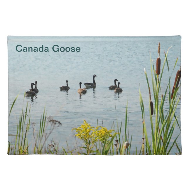 Curvature Cloth Placemat (Front)