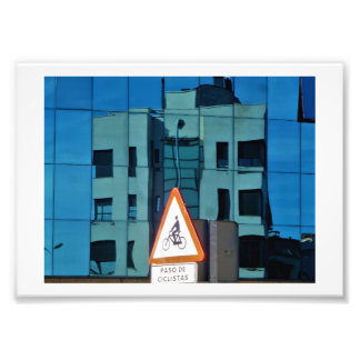 'Curve Reflection, Lion Photo Print