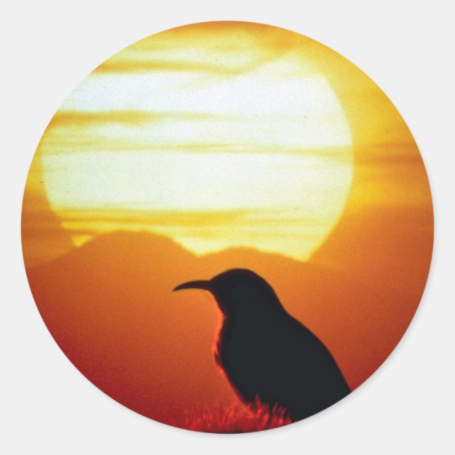 Curved bill thrasher on saguaro, Sonoran Desert, U Classic Round Sticker (Front)