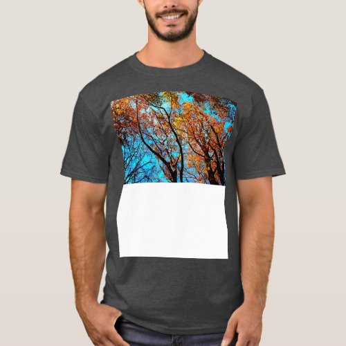 Curved branches of beech trees with autumn colored T_Shirt