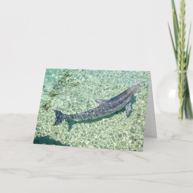 Curved Dolphin Underwater Plain customized Thank You Card (Front)