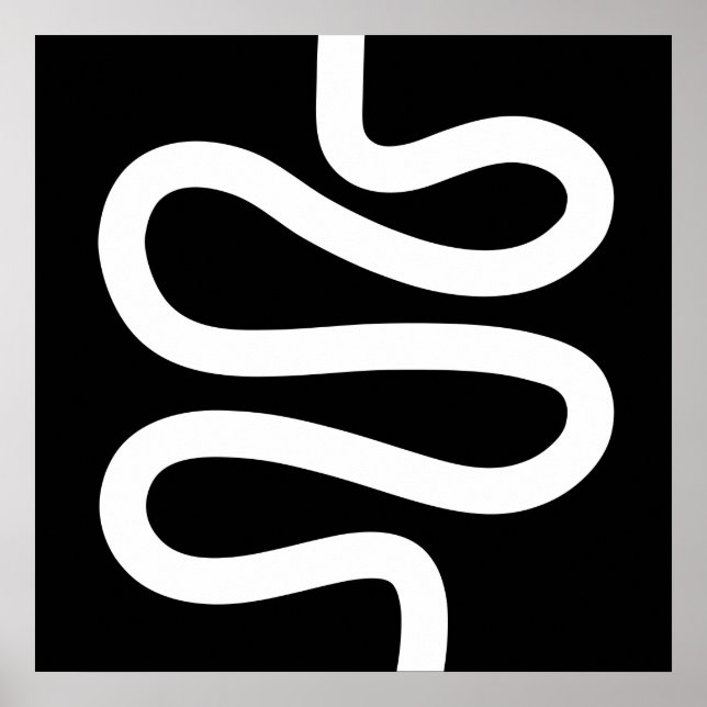 Curvy Line - White on Black Poster (Front)