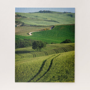 Curvy lines in a green Tuscany landscape Jigsaw Puzzle