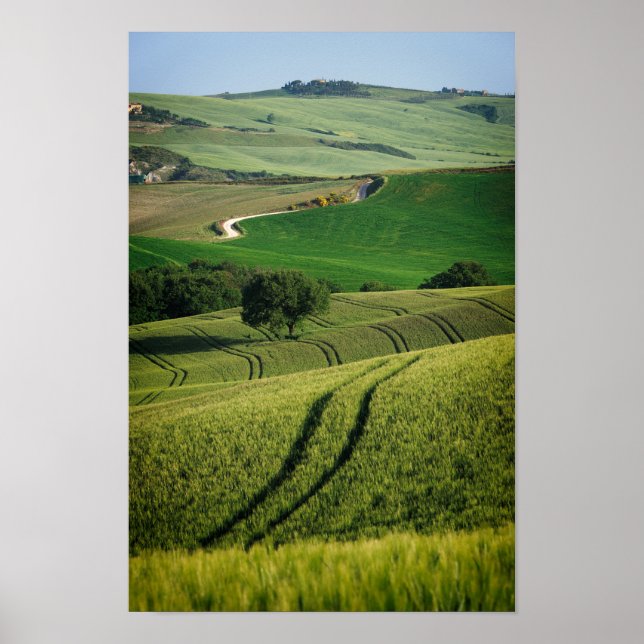 Curvy lines in green Tuscany poster (Front)