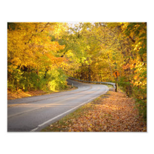 Curvy Road in Fall Photo Print