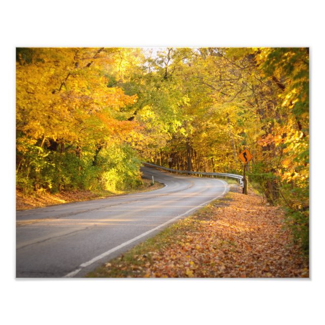 Curvy Road in Fall  Photo Print (Front)
