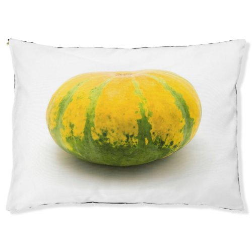 Cushaw squash pet bed