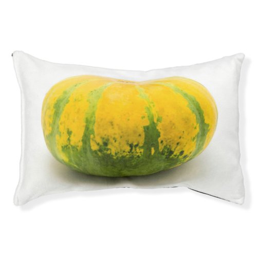 Cushaw squash pet bed