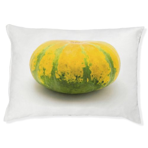 Cushaw squash pet bed