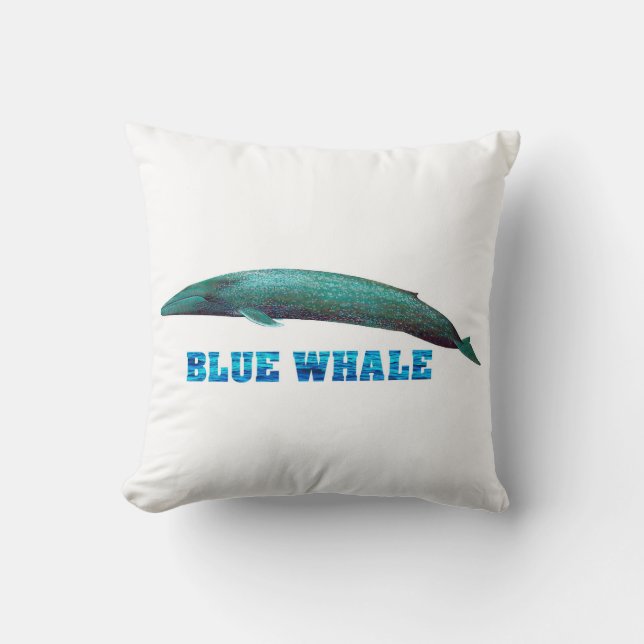 Cushion (Front)