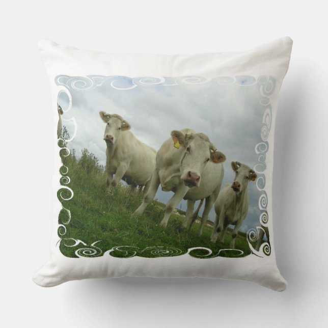 cushion cows (Front)