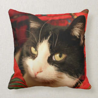 Cushion Miss Elsa by Chat' ventures