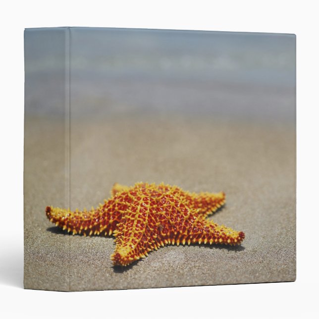 Cushion Starfish Binder (Front/Spine)