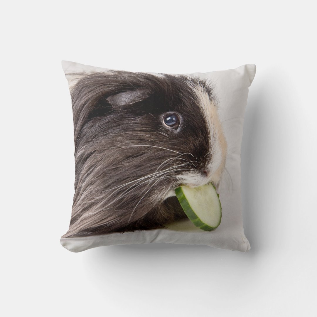 Picture of Cushion with cute guinea pig eating cucumber | Zazzle