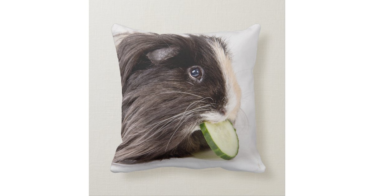 Image showcasing Cushion with cute guinea pig eating cucumber | Zazzle.com