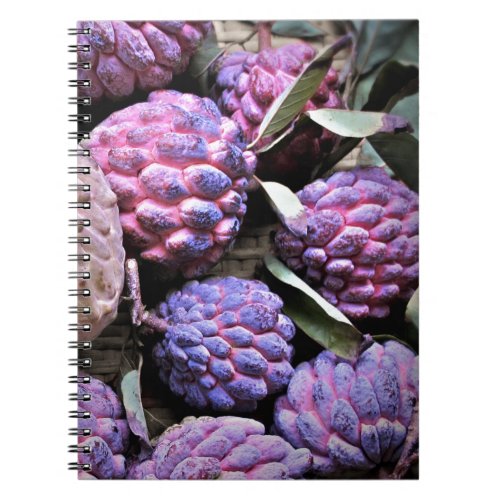 Custard Apple Cherimoya Notebook