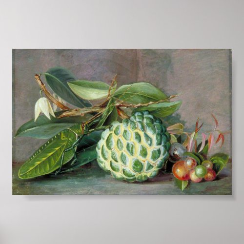 Custard Apple _ Marianne North Poster