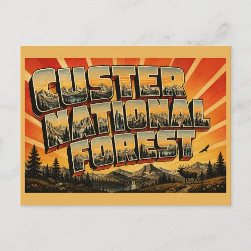 Custer National Forest Montana Alpine Peaks Lakes Postcard