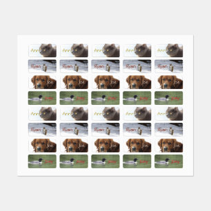 Custimizable Animal Stickers