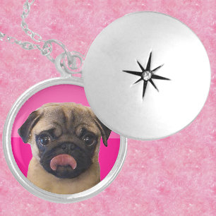 Custm New Pug Stunning Silver-Plated Gift Locket  Silver Plated Necklace