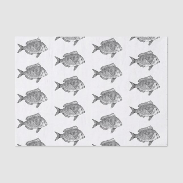 Custom 10lb Tissue Paper, White FISH Tissue Paper (Front)