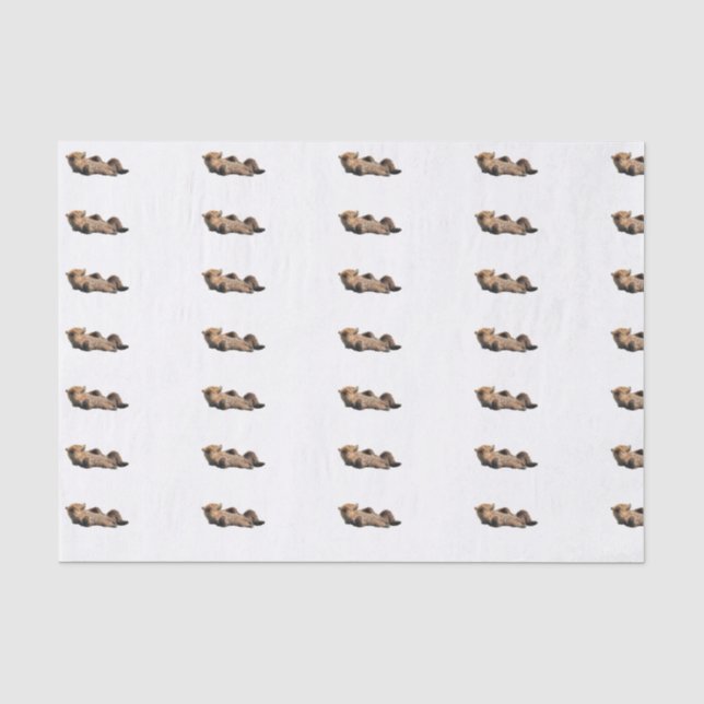 Custom 10lb Tissue Paper, White with bear cub Paper (Front)