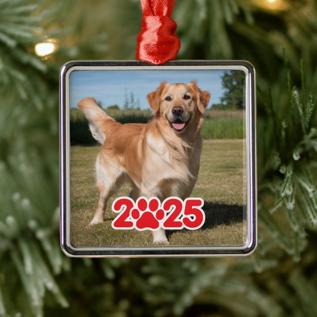 Custom 2025 Pet Photo Metal Ornament (Tree)