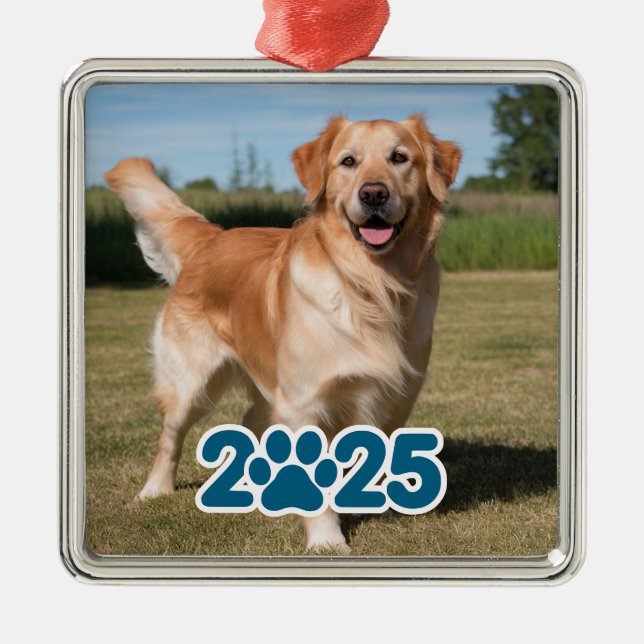 Custom 2025 Pet Photo Metal Ornament (Front)