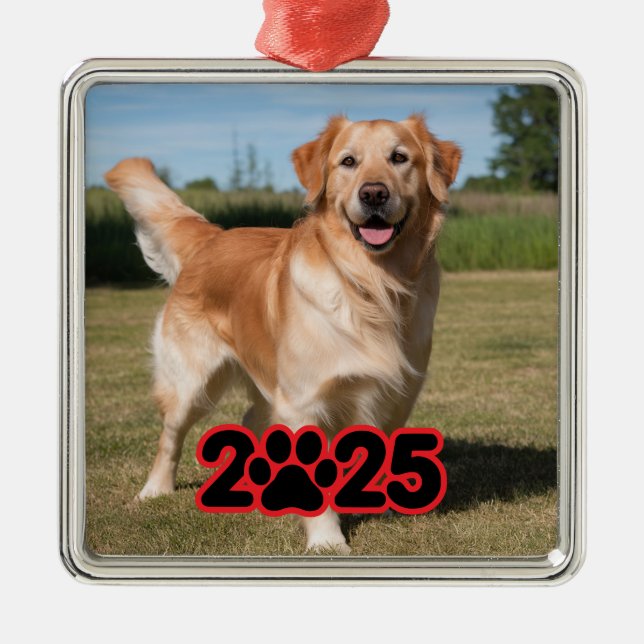 Custom 2025 Pet Photo Metal Ornament (Front)