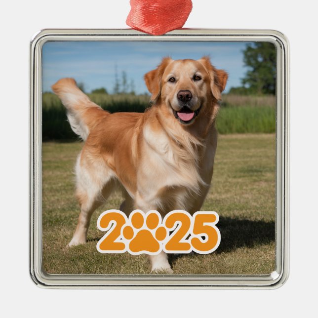 Custom 2025 Pet Photo Metal Ornament (Front)