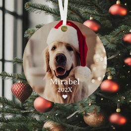 Custom 2 Pet Photo & Monogram Name Metal Ornament