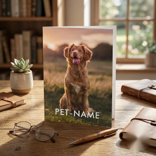 Custom 2 Photo With Your Pet Dog 2 Name Picture On Pocket Folder