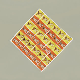 Custom 36 Photo Collage Your Pet Dog Picture On Bandana