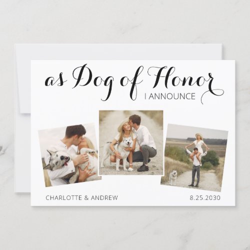 Custom 3 Photo Dog Wedding Announcement